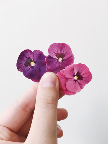 Sophie Clowders viola temporary tattoo botanical petals Modern Craft