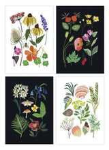 Load image into Gallery viewer, Brie Harrison botanical nature series art postcard pack. Handmade in the UK for Modern Craft