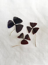 Load image into Gallery viewer, Sophie Clowders botanical oxalis purple clover leaf temporary tattoo for Modern Craft