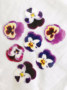 Sophie Clowders botanical pansy petal flower temporary tattoo for Modern Craft