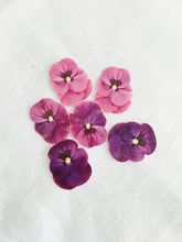 Load image into Gallery viewer, Sophie Clowders viola temporary tattoo botanical petals Modern Craft