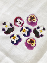 Load image into Gallery viewer, Sophie Clowders botanical pansy petal flower temporary tattoo for Modern Craft