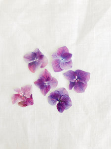 Sophie Clowders hydrangea print floral botanical temporary tattoos for Modern Craft
