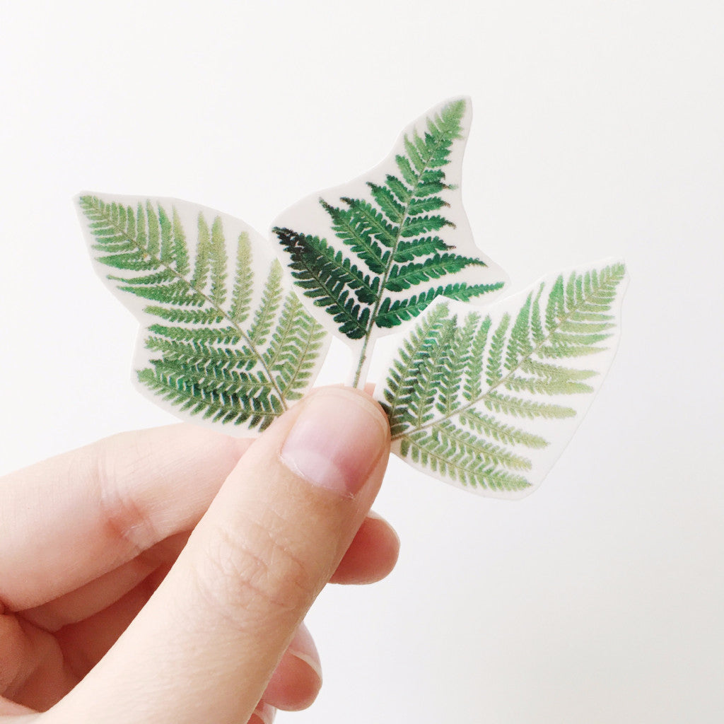 Sophie Clowders fern print botanical temporary tattoo for Modern Craft