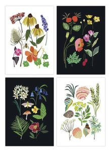 Brie Harrison botanical nature series art postcard pack. Handmade in the UK for Modern Craft