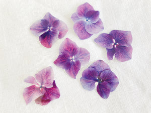 Sophie Clowders hydrangea print floral botanical temporary tattoos for Modern Craft