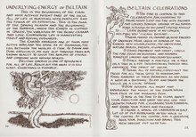 Load image into Gallery viewer, Glennie Kindred handmade illustrated book Earth&#39;s cycle of celebration Celtic festivals wheel of the year guidebook for Modern Craft