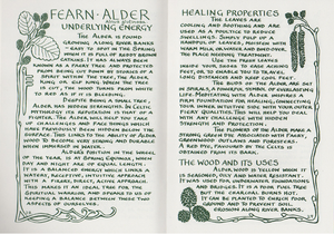 Glennie Kindred handmade illustrated book sacred trees native British tree folklore for Modern Craft