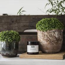 Load image into Gallery viewer, Hedgerow vegan scented candle with essential oils. Handmade in London for Modern Craft