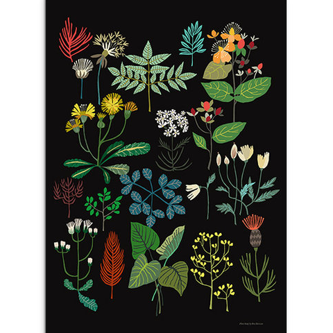 Brie Harrison plant study botanical print native British flora for Modern Craft