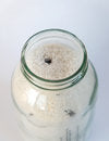 Holy Water Apothecary organic sea bath salts with essential oils and foraged kelp hand made in Devon for Modern Craft